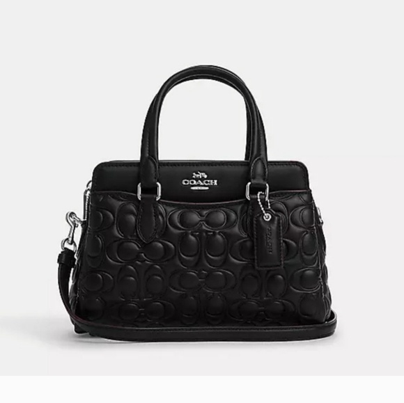 New! Mini Darcie Carryall in Signature Leather *Only 1 left!* - Picture 1 of 5